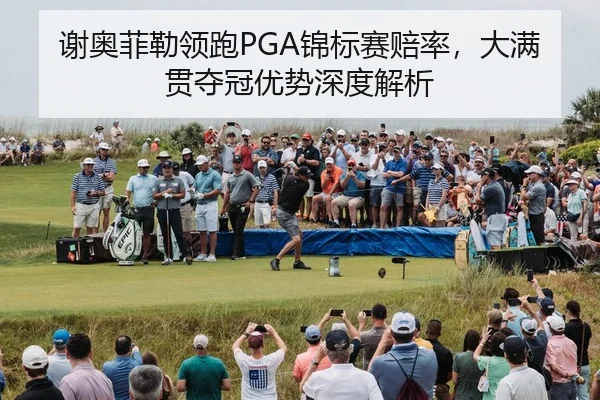 xie-ao-fei-lei-ling-pao-jin-biao-sai-pei-lv-da-man-guan-duo-guan-you-shi-shen-du-jie-xi-2-777.jpg