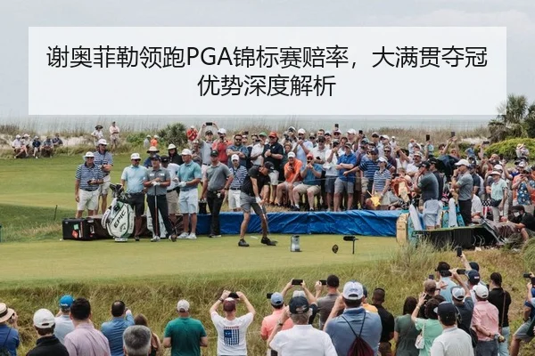 xie-ao-fei-lei-ling-pao-jin-biao-sai-pei-lv-da-man-guan-duo-guan-you-shi-shen-du-jie-xi-3-450.jpg
